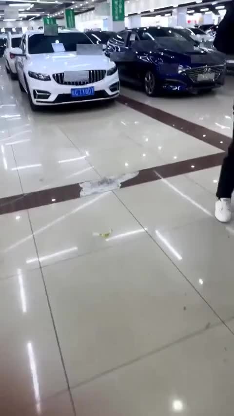 福特Mustang（平行进口） 讲解2