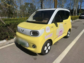 五菱汽车 宏光MINIEV 2024款 第三代 215km 进阶版