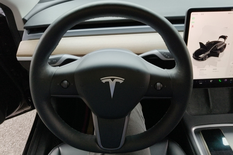 特斯拉 Model 3 2022款 后轮驱动版中控内饰13