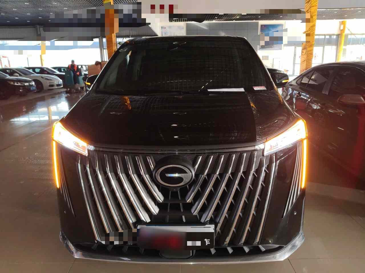 广汽传祺 传祺M8 2024款 大师系列 400T 至尊版(1)