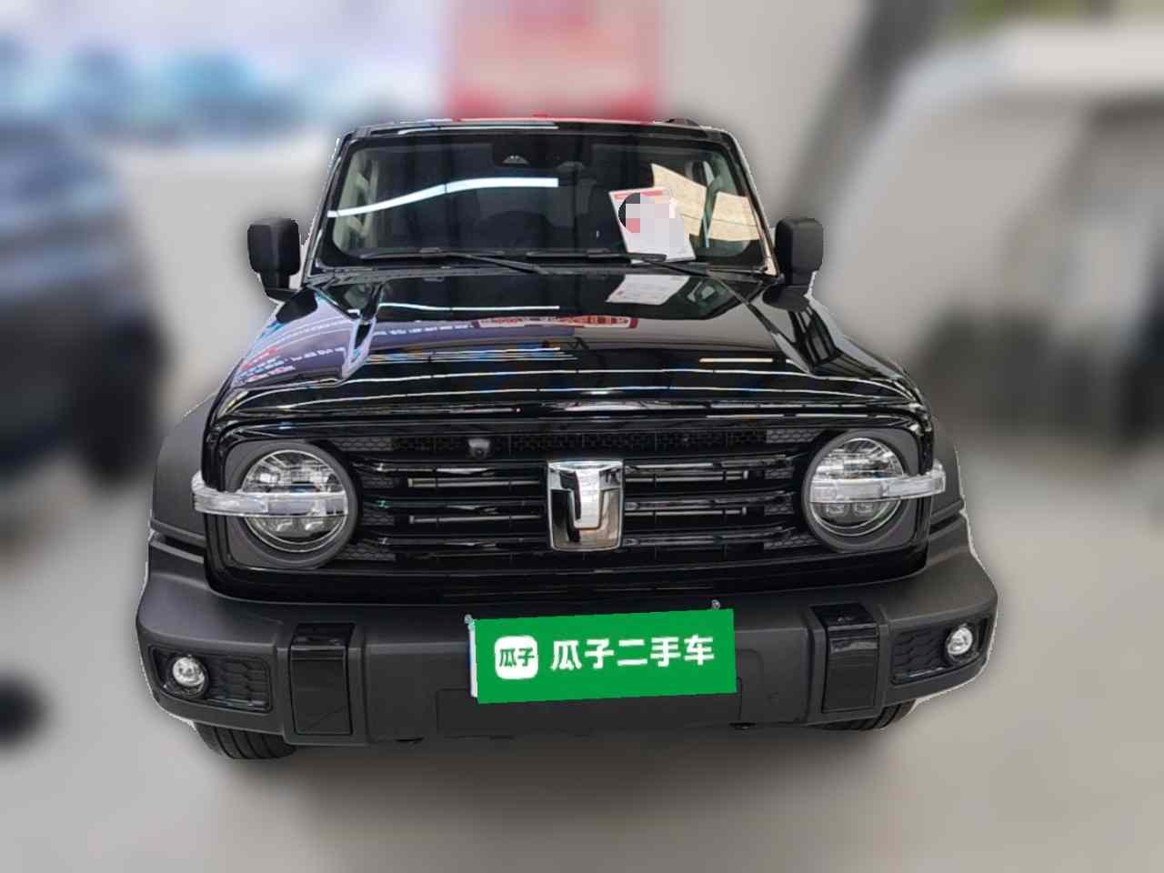 坦克300 2024款 2.0T 征服者(1)