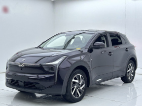 哪吒汽车 哪吒U 2021款 Pro 500 行业定制版