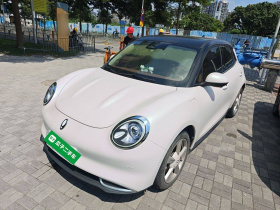 欧拉好猫 2022款 莫兰迪版 400km标准续航 尊贵型 三元锂