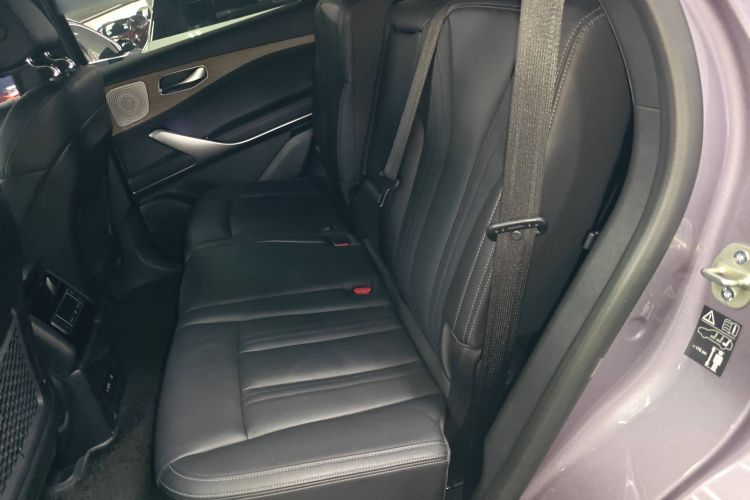 腾势X 2020款 PHEV旗舰版中控内饰21