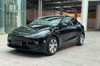 特斯拉 Model Y 2022款 后轮驱动版