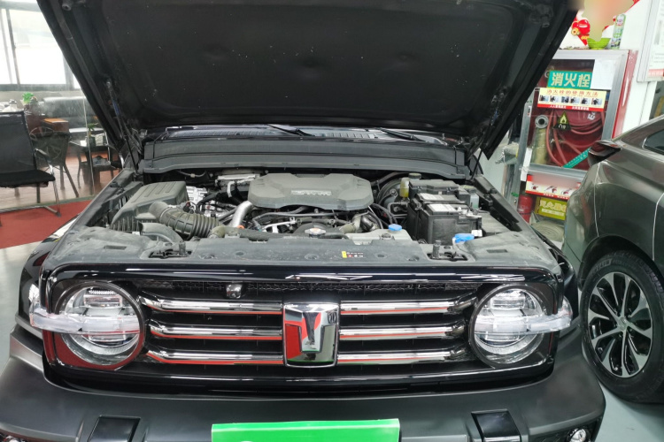 坦克300 2024款 2.0T 穿越者机舱底盘24