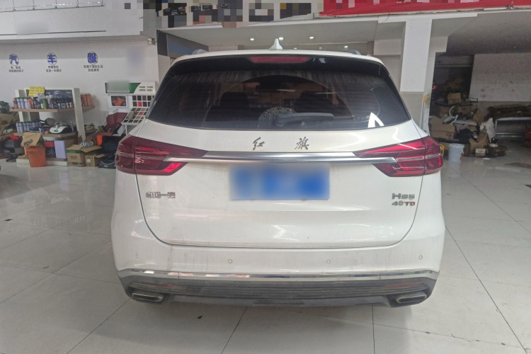 红旗HS5 2019款 2.0T 智联旗享版车身外观6