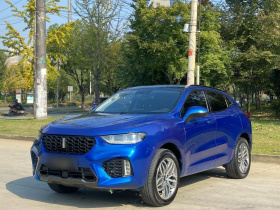 魏牌 VV5 2017款 2.0T 超豪型