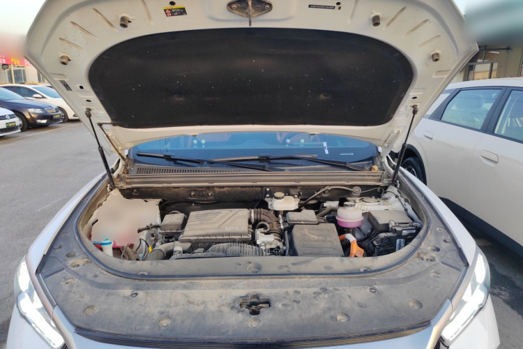 比亚迪 宋Pro新能源 2023款 冠军版 DM-i 71KM超越型机舱底盘24