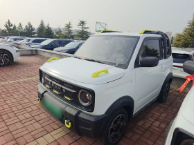 吉利银河 2025款 210km 熊猫骑士