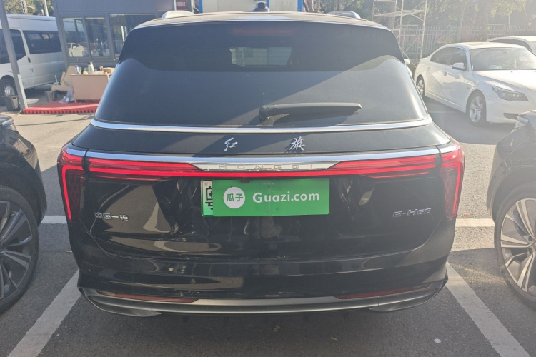 红旗E-HS9 2021款 460km 旗享版 六座车身外观6