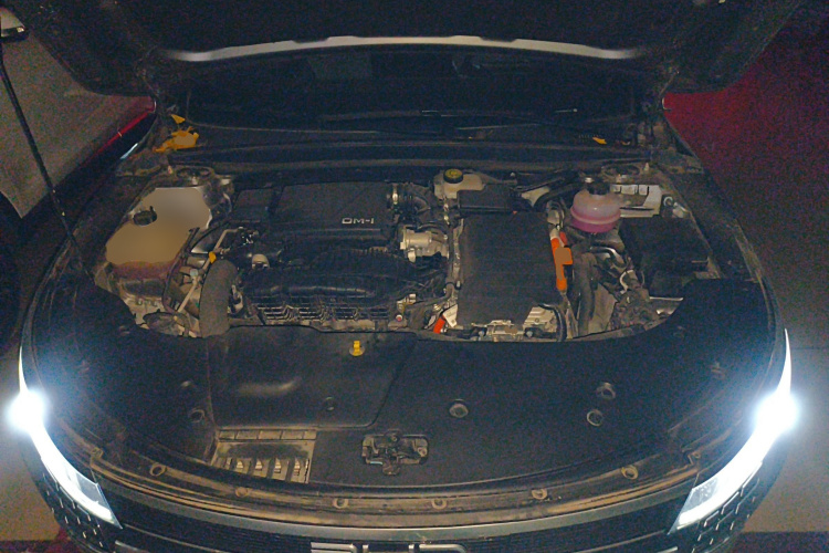 比亚迪 驱逐舰05 2024款 荣耀版 DM-i 55KM 豪华型机舱底盘24