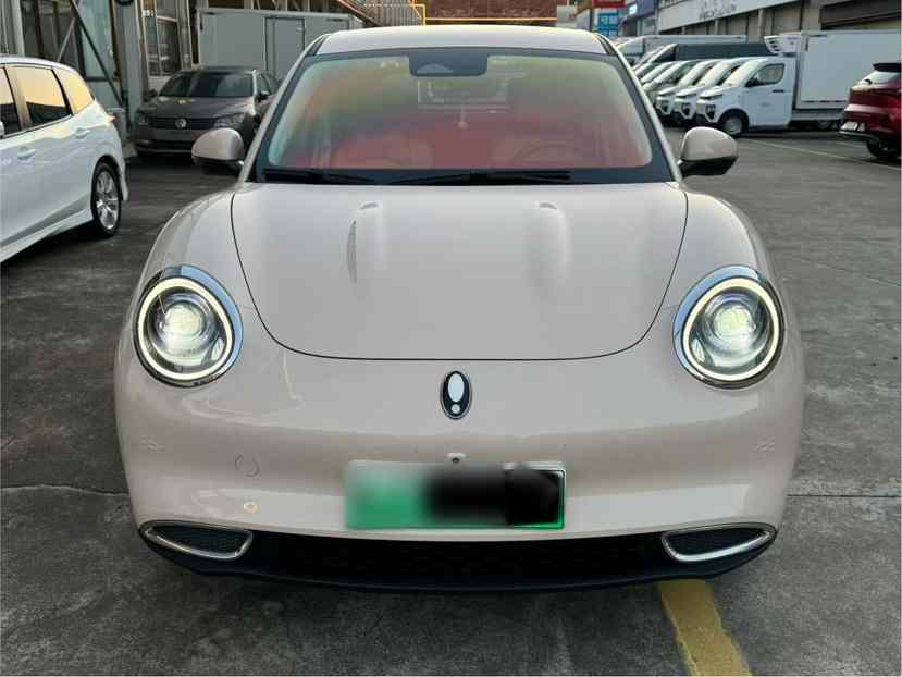 欧拉好猫 2023款 401km标准续航 豪华型 磷酸铁锂(5)