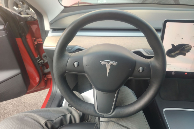 特斯拉 Model 3 2021款 改款 标准续航后驱升级版 3D1局部细节13