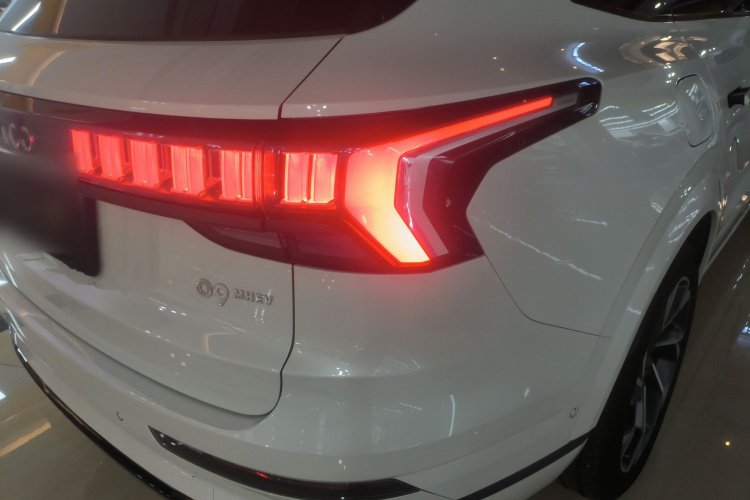 领克09 2021款 2.0T Halo 六座车身外观9