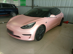 特斯拉 Model 3 2020款 标准续航后驱升级版