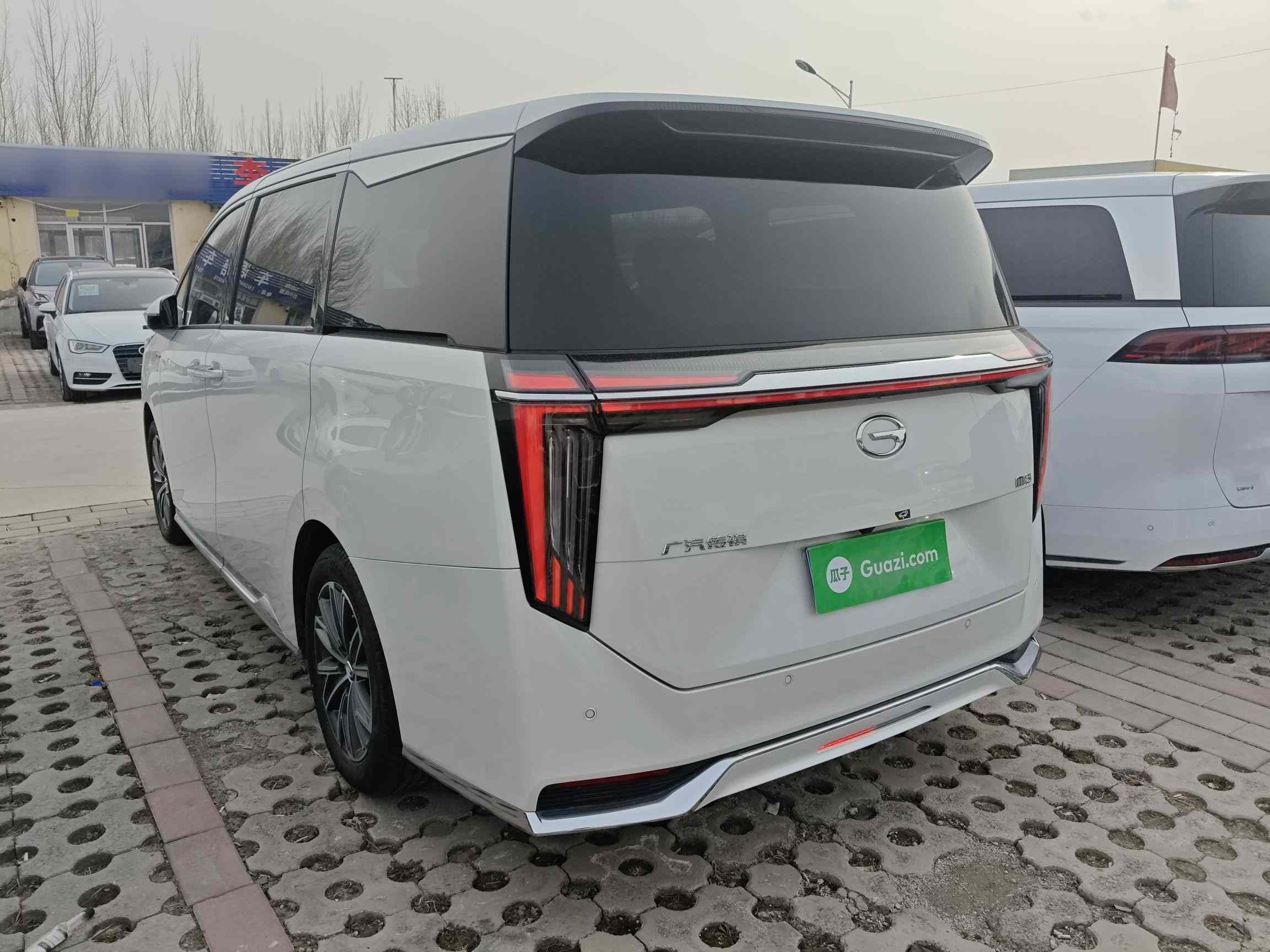 广汽传祺 传祺M8 2024款 大师系列 400T 尊贵版(3)
