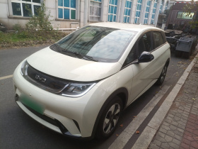 比亚迪 海豚 2025款 420km 自由版