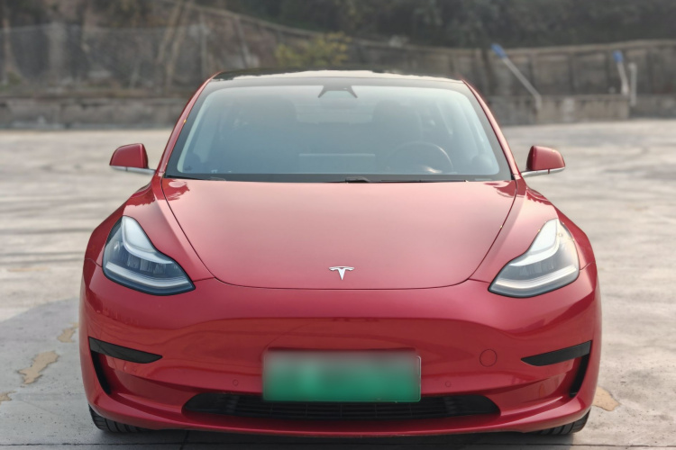 特斯拉 Model 3 2019款 标准续航后驱升级版车身外观6002