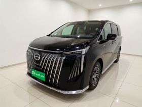 广汽传祺 传祺M8 2024款 大师系列 400T 尊贵版