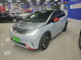 比亚迪 海豚 2021款 405km 时尚版