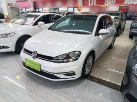 大众 高尔夫 2019款 280TSI DSG舒适型 国VI