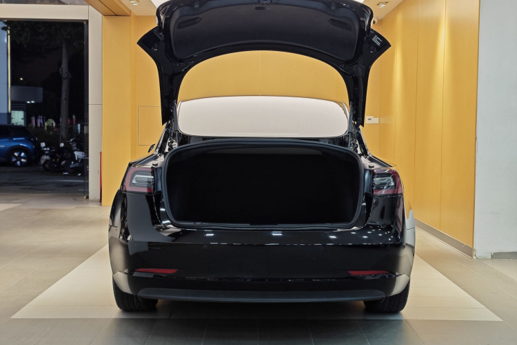 特斯拉 Model 3 2020款 标准续航后驱升级版局部细节23
