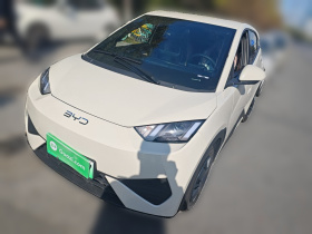 比亚迪 海鸥 2025款 智驾版 305km 活力版