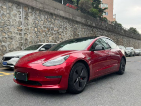 特斯拉 Model 3(进口) 2019款 长续航后驱版