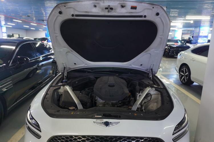 捷尼赛思G70 2021款 2.0T 后驱豪华版机舱底盘24