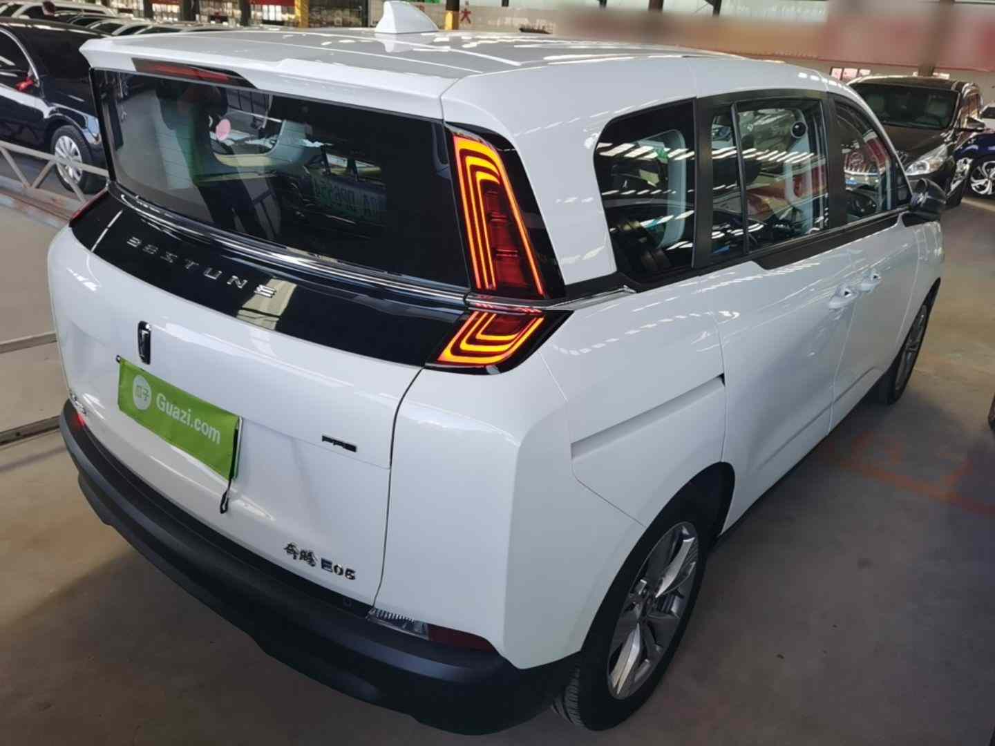 奔腾NAT 2023款 PRO 舒享出行版 425km(5)