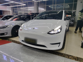 特斯拉 Model Y 2024款 后轮驱动版