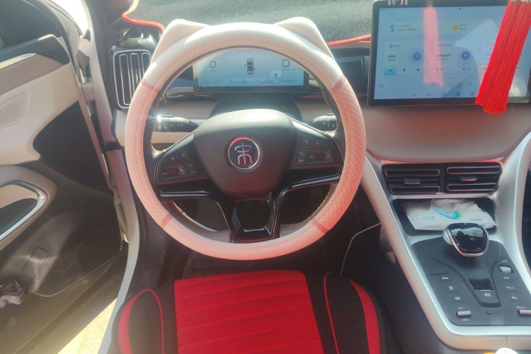 比亚迪 宋Pro新能源 2023款 冠军版 DM-i 110KM超越型局部细节13