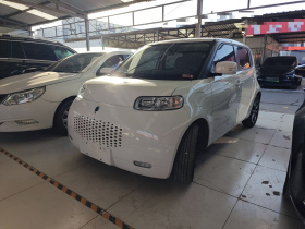 欧拉白猫 2020款 305km 豪华型