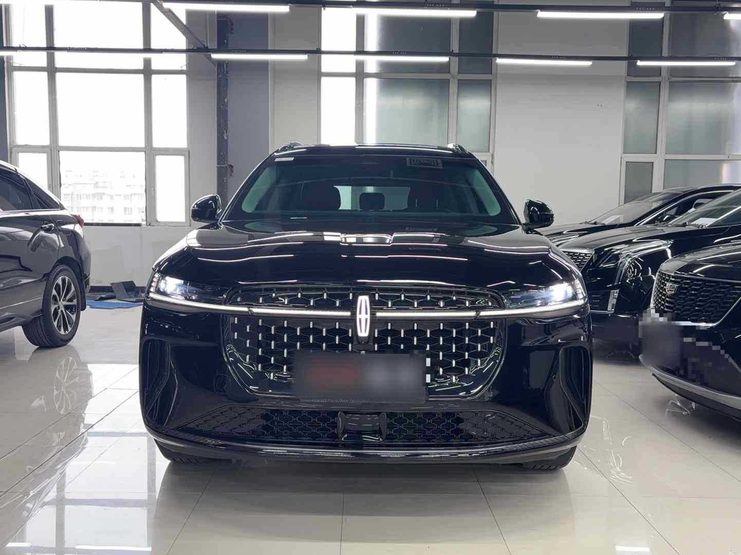 林肯 航海家 2025款 2.0T 四驱尊逸混动版(2)