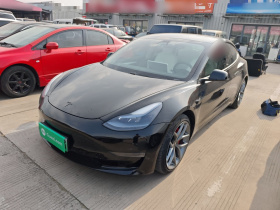 特斯拉 Model 3 2020款 Performance高性能全轮驱动版