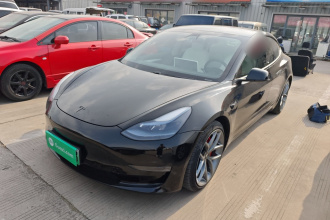 特斯拉 Model 3 2020款 Performance高性能全轮驱动版