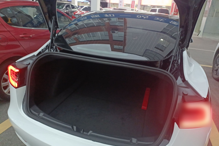 特斯拉 Model 3 2019款 标准续航后驱升级版局部细节23