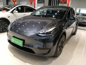 特斯拉 Model Y 2024款 后轮驱动版