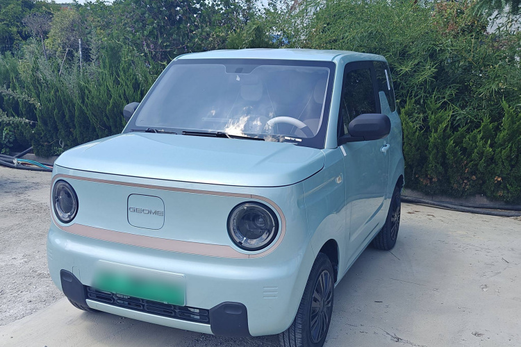 吉利汽车 2023款 熊猫mini 200km 耐力熊车身外观6001