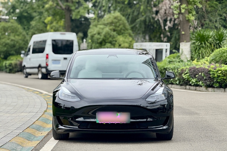 特斯拉 Model 3 2021款 标准续航后驱升级版 3D6车身外观6001
