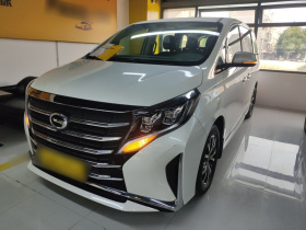 广汽传祺 传祺M8 2023款 领秀系列 390T 尊享版