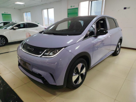 比亚迪 海豚 2023款 420km 时尚版