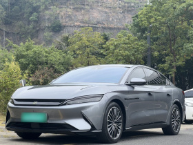 比亚迪 汉 2020款 EV 超长续航版豪华型