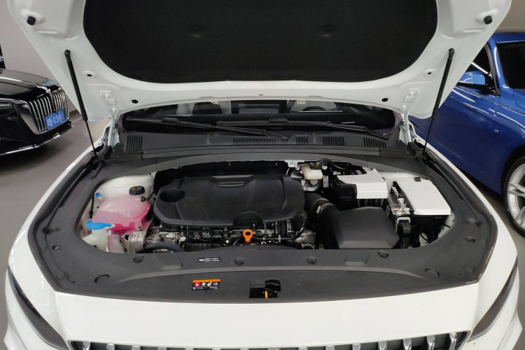 吉利汽车 星瑞 2025款 东方曜 1.5TD 扶摇版机舱底盘24