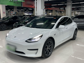 特斯拉 Model 3 2020款 标准续航后驱升级版