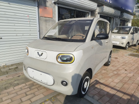 五菱汽车 宏光MINIEV 2024款 第三代 215km 青春版