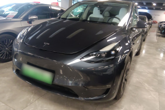 特斯拉 Model Y 2024款 长续航全轮驱动版