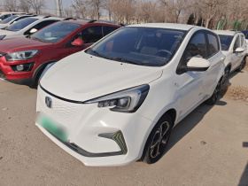 长安欧尚 奔奔E-Star 2020款 心悦版 三元锂