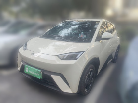 比亚迪 海鸥 2023款 飞翔版